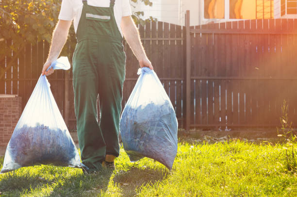 Best Shed Removal  in Six Shooter Canyon, AZ
